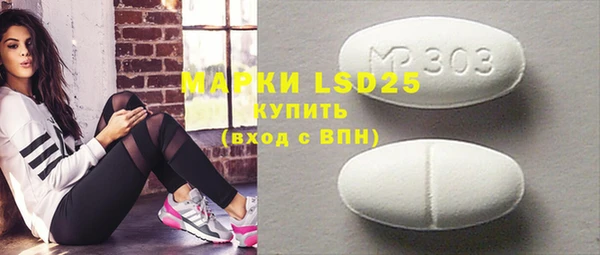 индика Ельня