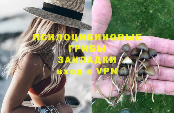 круглые Елизово