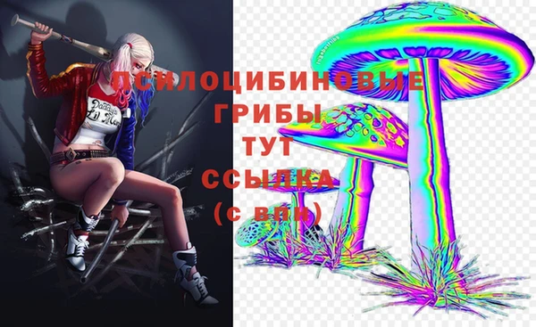 круглые Елизово
