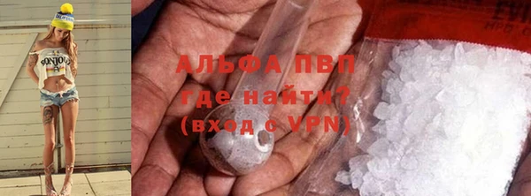 индика Ельня