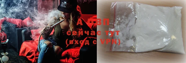 индика Ельня