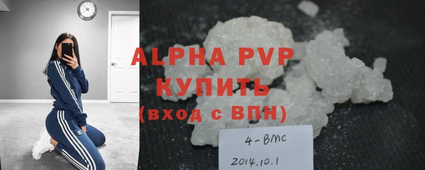 индика Ельня