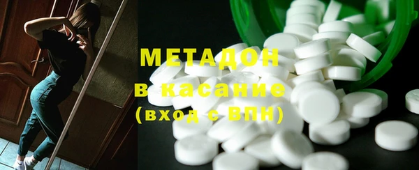 индика Ельня