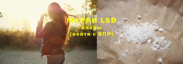 индика Ельня