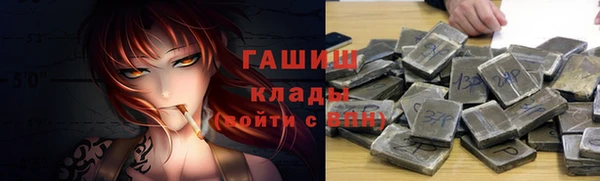 индика Ельня