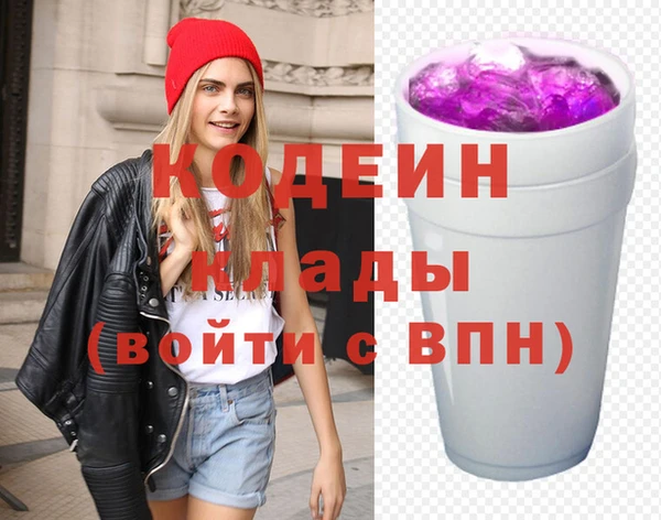 индика Ельня