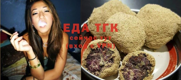 индика Ельня