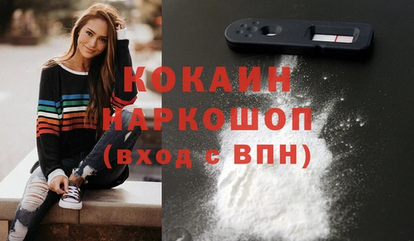 индика Ельня