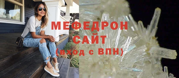 индика Ельня