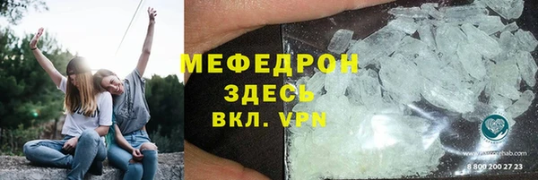 индика Ельня