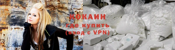 индика Ельня