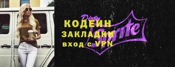 индика Ельня