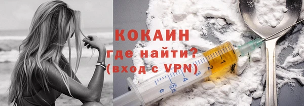 индика Ельня