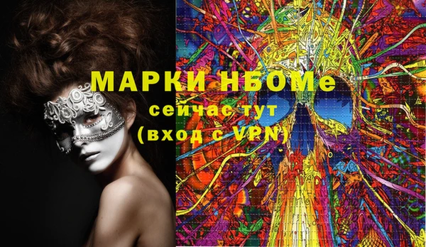 индика Ельня