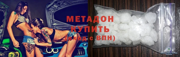 индика Ельня