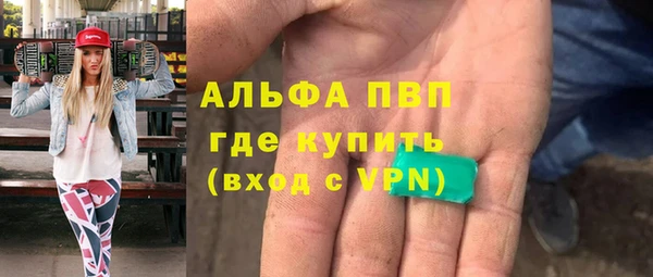 индика Ельня