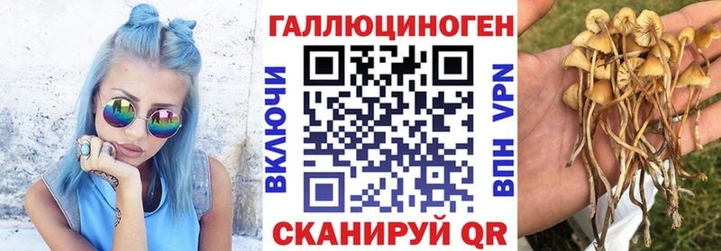 Галлюциногенные грибы мухоморы  Купить  Электросталь 