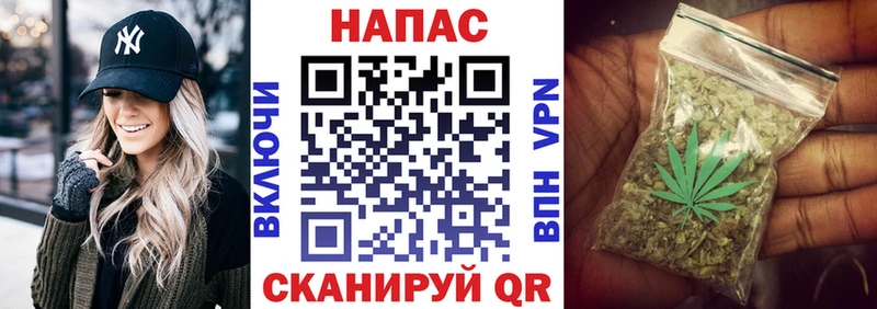 Купить  Электросталь  Каннабис Amnesia 